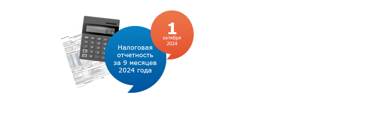 Налоговая отчетность за 9 месяцев 2024 года